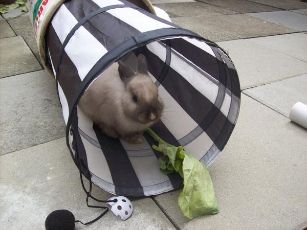000 0035