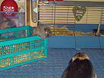 Max & Moritz