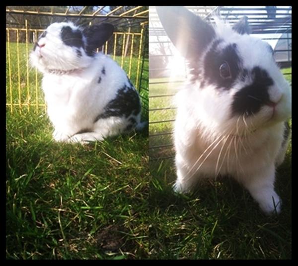 Sonnenstrahlen ♥