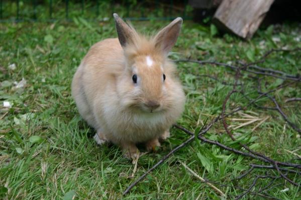 unsere kleine Carla, geb. am 21.03.2011