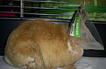 PIC 0076