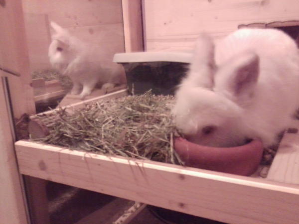 Nicky rechts & Felix links...