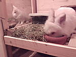 Nicky rechts & Felix links...