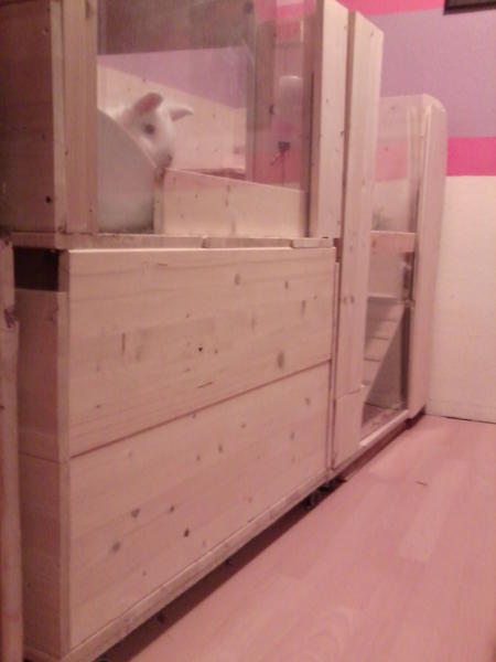 Felix im Stall...