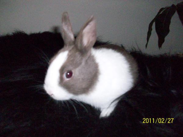 unser Baby Lucy