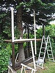 Baumhaus 002