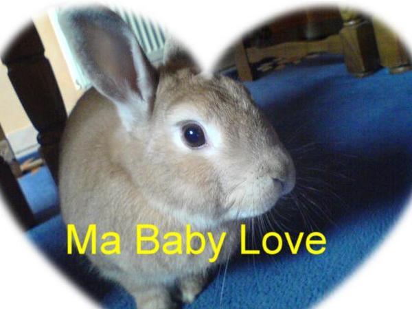 =) Der Beste