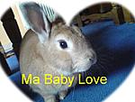 =) Der Beste