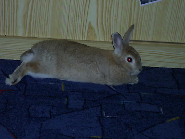 Juli 2009
ausruhen xD