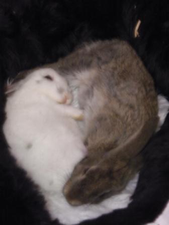 Yin und Yang