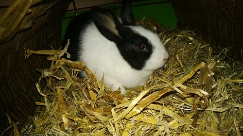 Der kleine Mann <3