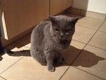Andere Tiere von mir
