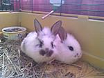 Sissy und Lilly