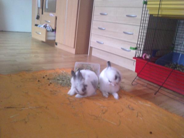 ... putz putz =)