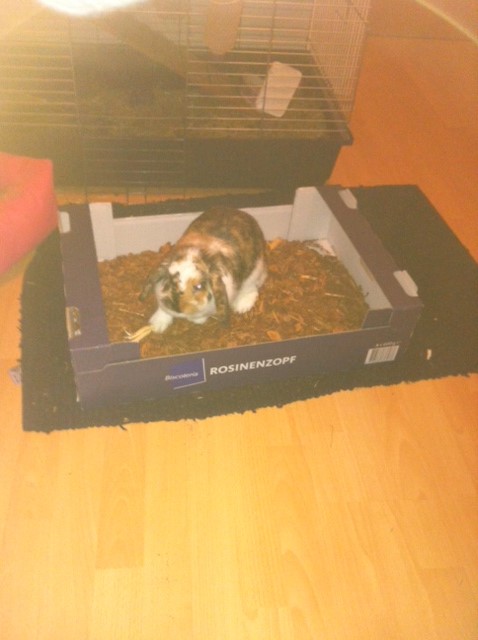 Foto 2(3)