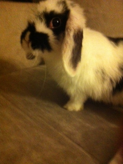 Foto 3(3)