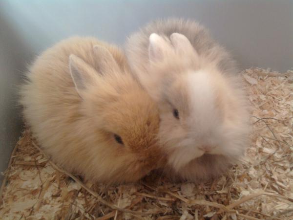 kuscheln kann so sch���������n sein^^
