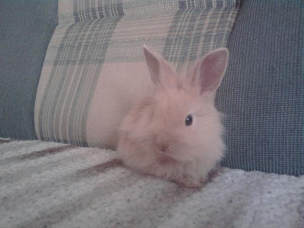 Lucy macht es sich gem�tlich^^