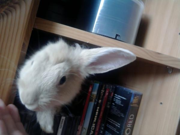 welche dvd wollen wa schauen..ich such sie raus :D