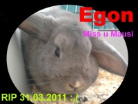 werde dich nie vergessen.. ♥ u