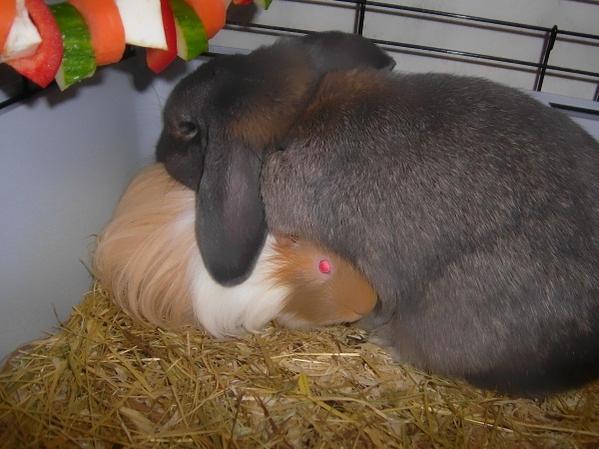Benny und Egon...sie schmusten so gern