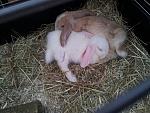 IMG 20131230 WA0005