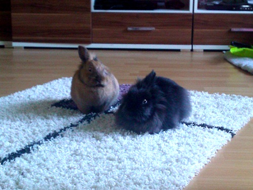 ausruhen :)