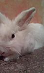Mein Schatz <3