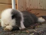 Aus 3 wird 4er Gruppe