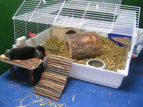 DSCN2003