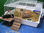 DSCN2003