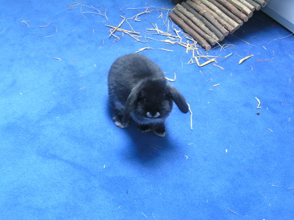 DSCN2012