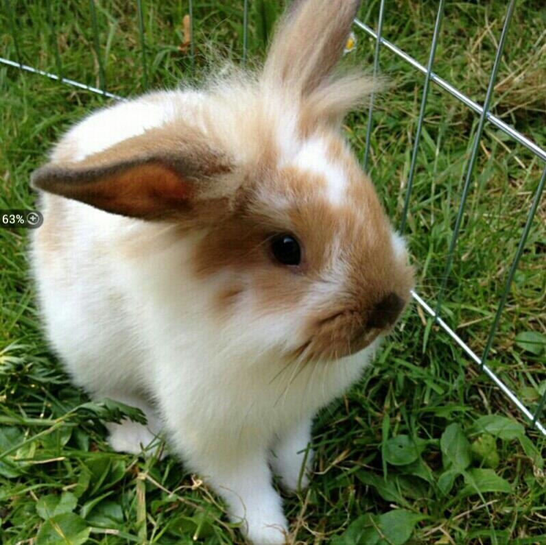 Mein baby 9 Wochen alt :)