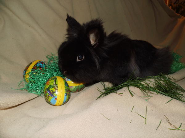 Ostern