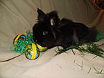 Ostern