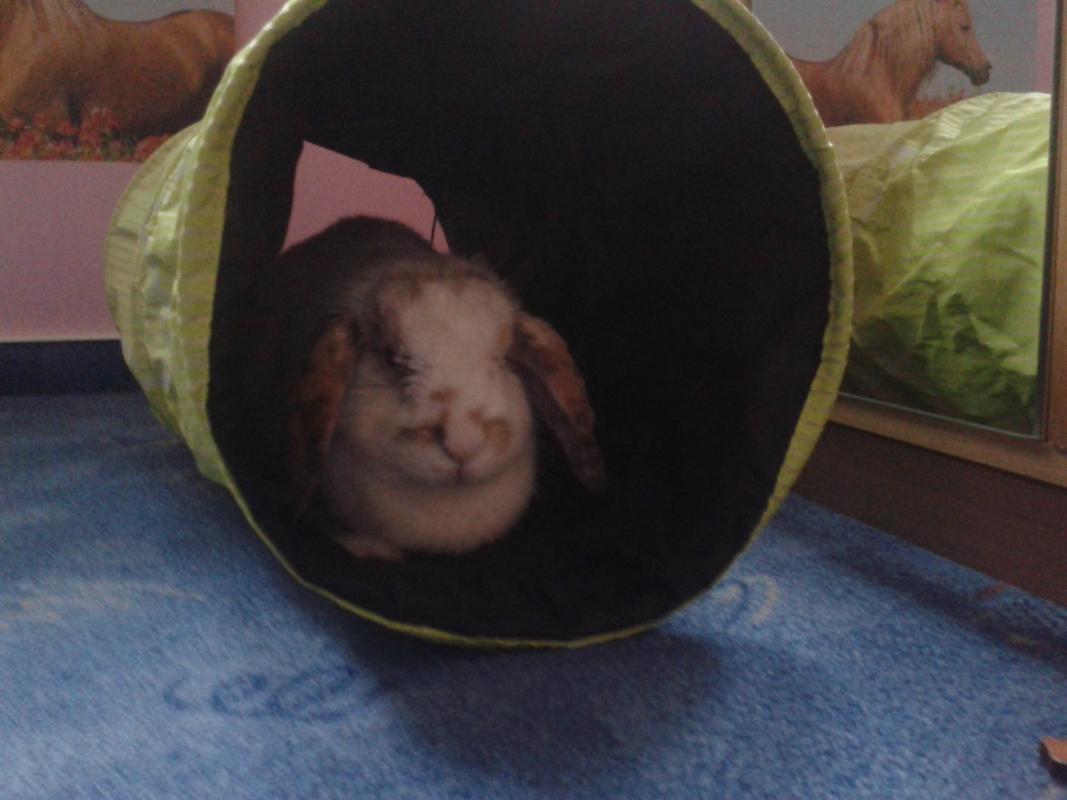 Dein lieblings Versteck <3