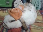 Im Winter mit M�tze :D
