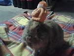 Mit M�tze:)