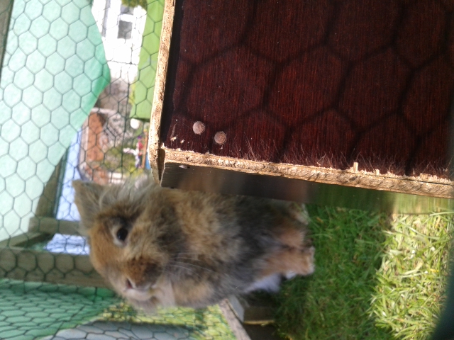 Prinzessin Lola :)