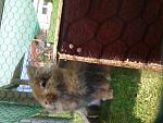 Prinzessin Lola :)