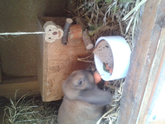 Lecker M�hre :p