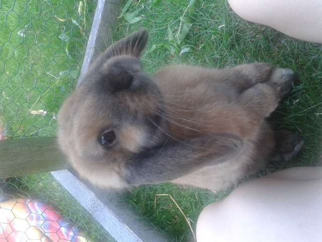 Liebling♡