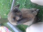 Liebling♡