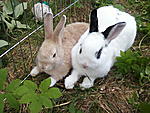 Flo und Emma <3