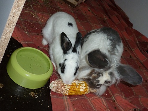Fynn und Robin mal einer Meinung: lecker