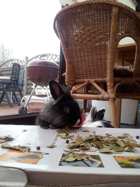 Juanita