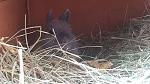 IMG 20210211 WA0012