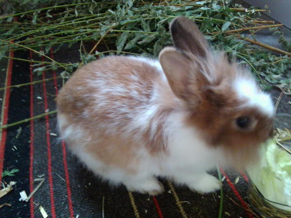 Meine Amy :)