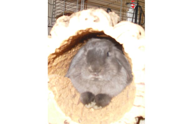 Verstecken