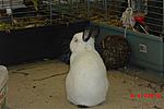 Unsere Diva Gina